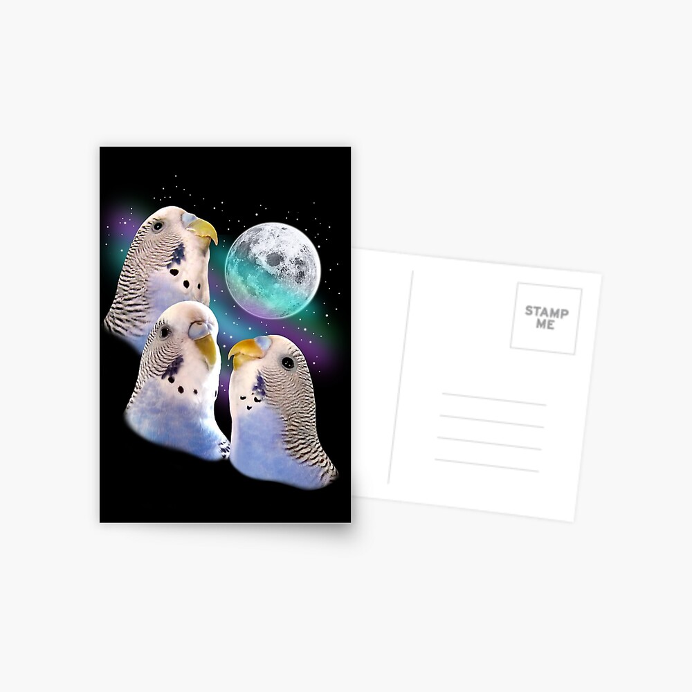 Three Keet Moon Postcard