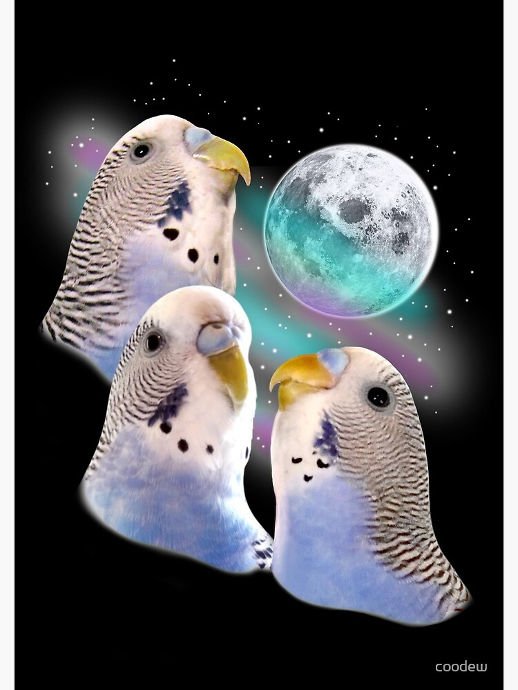 Three Keet Moon by coodew