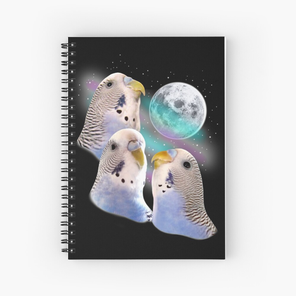 Three Keet Moon Spiral Notebook