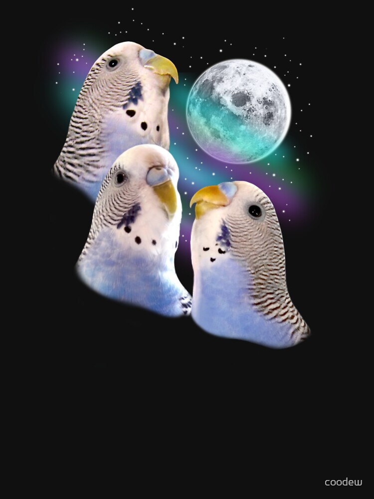 Three Keet Moon by coodew