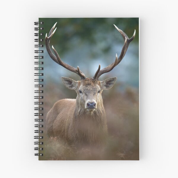 Item preview, The Breath & Stare designed and sold by Richard Bond.