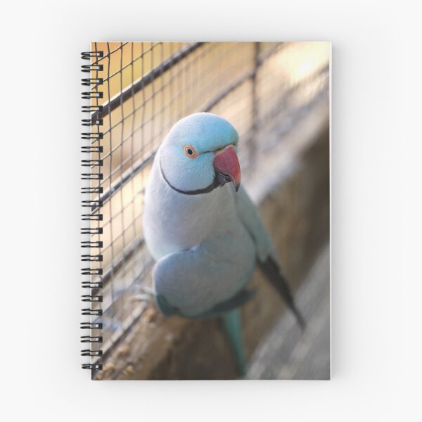 Item preview, Blue Indian Ringneck designed and sold by Sharon McRae.