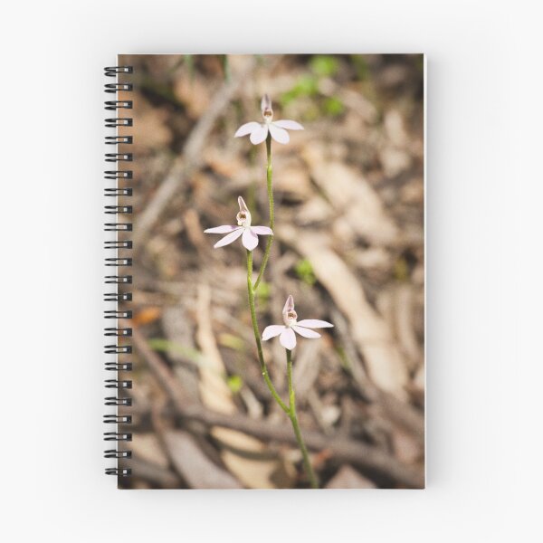 Item preview, Caladenia carnea - Pink Fingers designed and sold by Malcolm Garth.