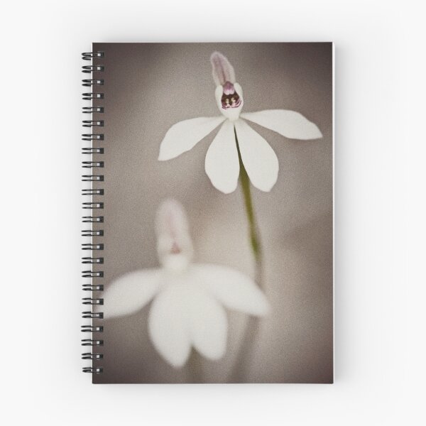 Item preview, Caladenia carnea - Pink Fingers designed and sold by Malcolm Garth.