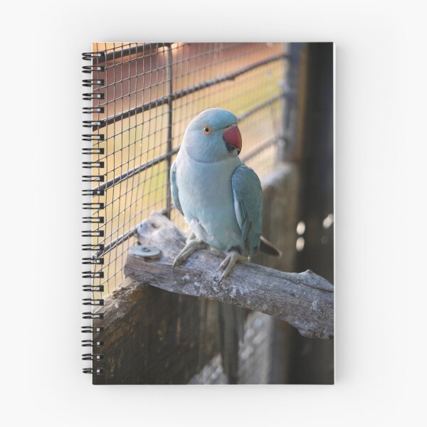 Item preview, Blue Indian Ringneck-bird 2 designed and sold by Sharon McRae.
