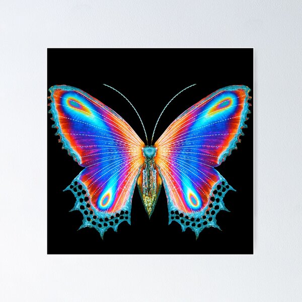 Item preview, Multicolor Butterfly  designed and sold by KaiDee.
