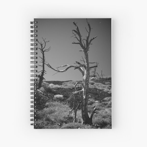 Item preview, Desolate designed and sold by Cliff Worsham.
