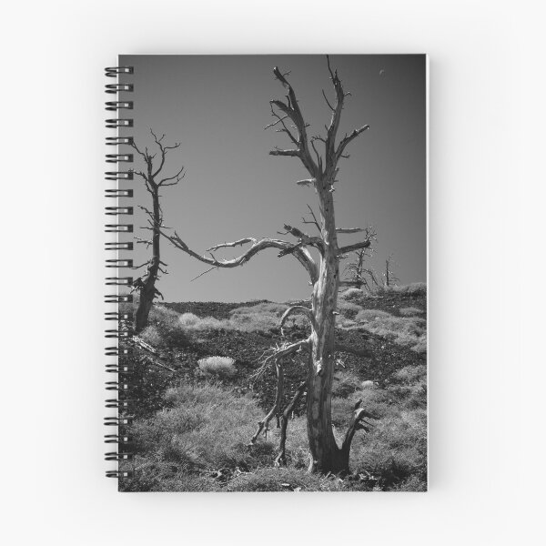 Item preview, Desolate designed and sold by Cliff Worsham.