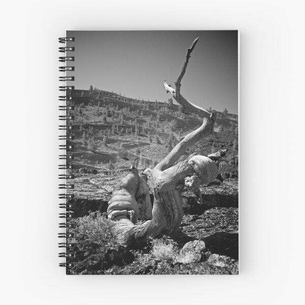 Item preview, Gnarled designed and sold by Cliff Worsham.
