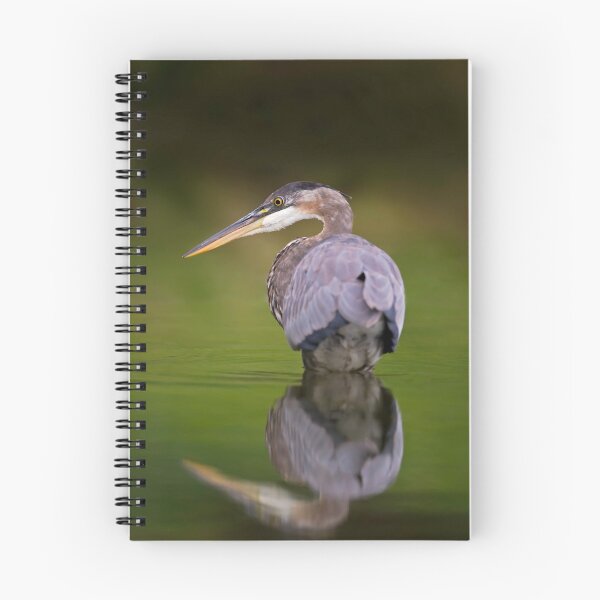 Item preview, GBH reflection designed and sold by Daniel  Parent.