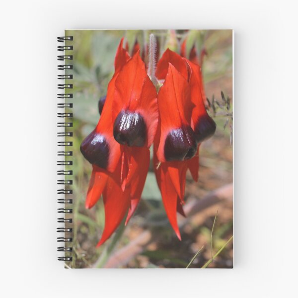 Item preview, Sturt Desert Pea designed and sold by Catherine Whitehead.