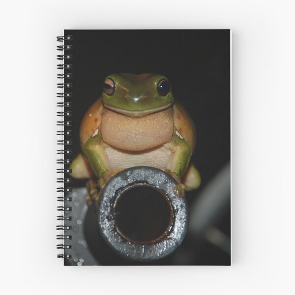Item preview, 1, 2, 3 Draw!!!! - NSW designed and sold by CasPhotography.
