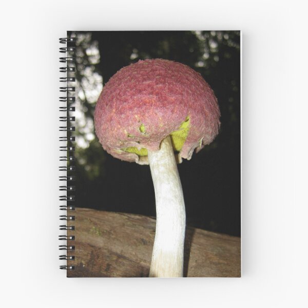 Item preview, Fungi Ball In The Forest designed and sold by Vanessa Barklay.
