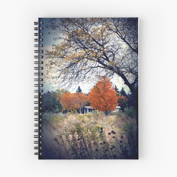 Item preview, Fall at Confederation Park designed and sold by deb cole.