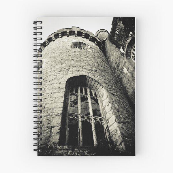 Aperçu de l'œuvre Medieval Castle créée et vendue par Selina Ryles.