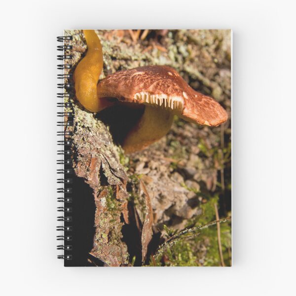 Item preview, Snake & Fungi designed and sold by Walter Quirtmair.