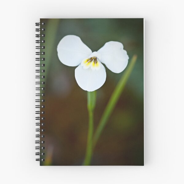 Item preview, Mirboo Lily... designed and sold by Malcolm Garth.