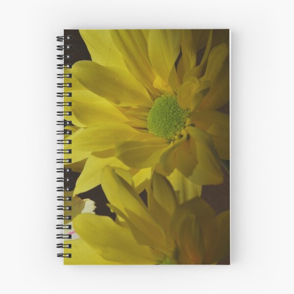 Item preview, Song of Joy designed and sold by Lozzar Flowers & Art.