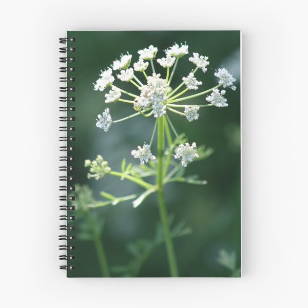 Item preview, Cerrar el perejil de vaca designed and sold by Joanne Emery.