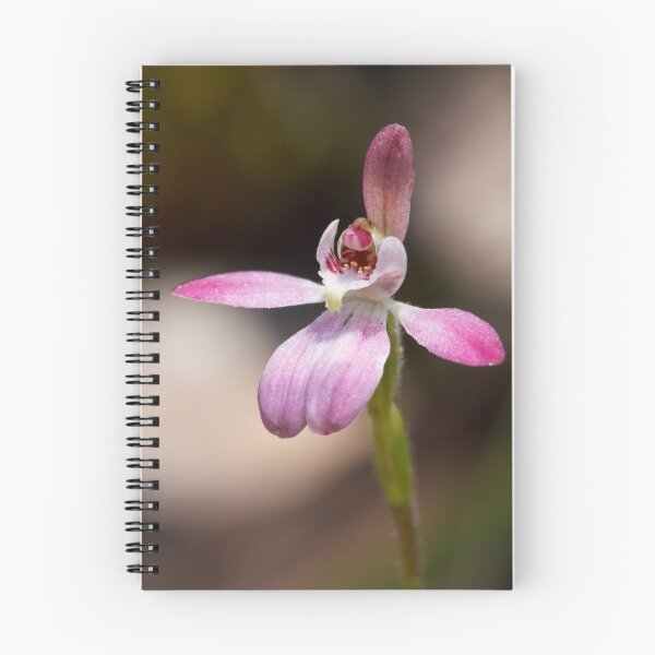 Item preview, Tiny Fingers - Petalochilus pusillus designed and sold by Paul Piko.