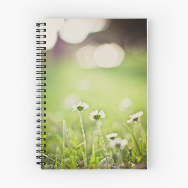 Artikelvorschau, awww daisies' wink entworfen und verkauft von Yemima Garrido.