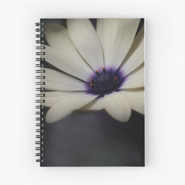 Item preview, Daisy Love.... designed and sold by Sharon House.