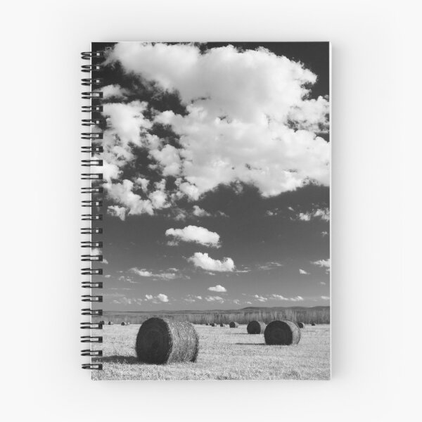 Item preview, Hay Bales - Aroostook County designed and sold by Patrick Downey.
