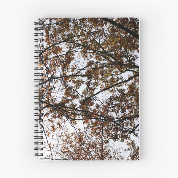 Item preview, Through the Treetops designed and sold by JLPPhotos.
