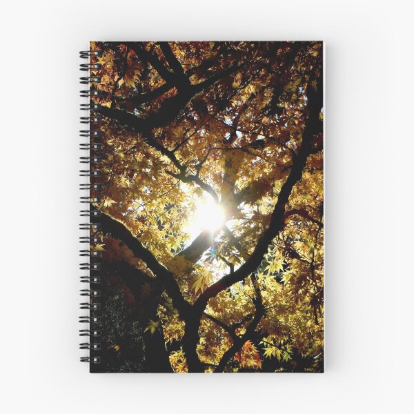 Item preview, Shine ~ Westonbirt designed and sold by Josephine Pugh.