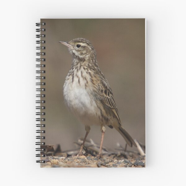Item preview, Meep Meep... Aussie Roadrunner designed and sold by Phillip Weyers.