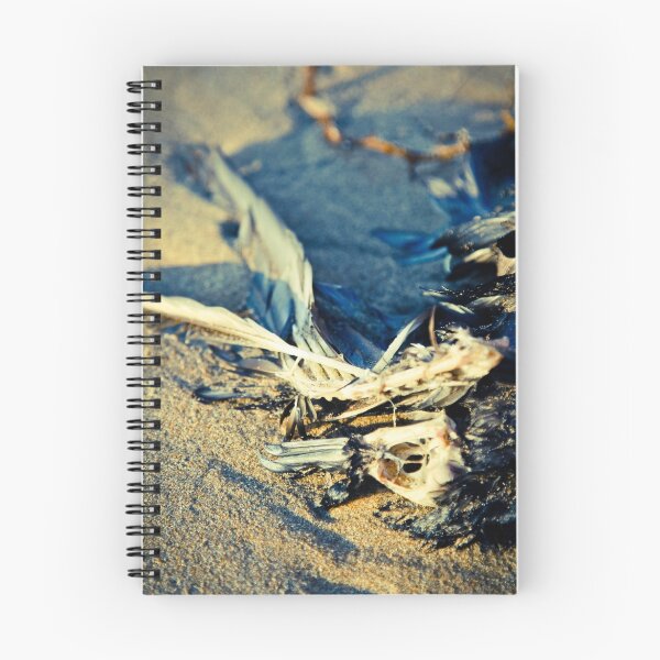 Item preview, playa macabra designed and sold by Glen Barton.