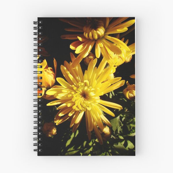 Item preview, Chrysanthemums #1 designed and sold by Timothy Wilkendorf.
