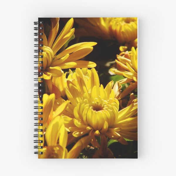 Item preview, Chrysanthemums #3 designed and sold by Timothy Wilkendorf.