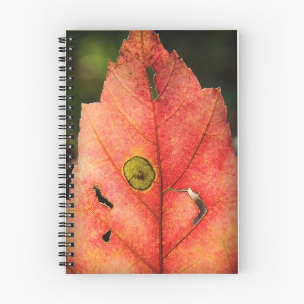 Item preview, Take Time To Look At The Details designed and sold by lisamgerken.