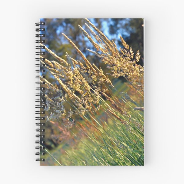 Item preview, Field Grass With Sunset Glow designed and sold by Alice Gratton.