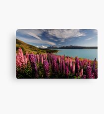Pukaki Postcard Canvas Print