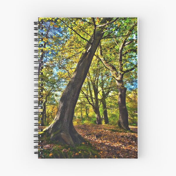 Item preview, Autumn Woodland Colour 2010 - Durham, UK designed and sold by David Lewins.