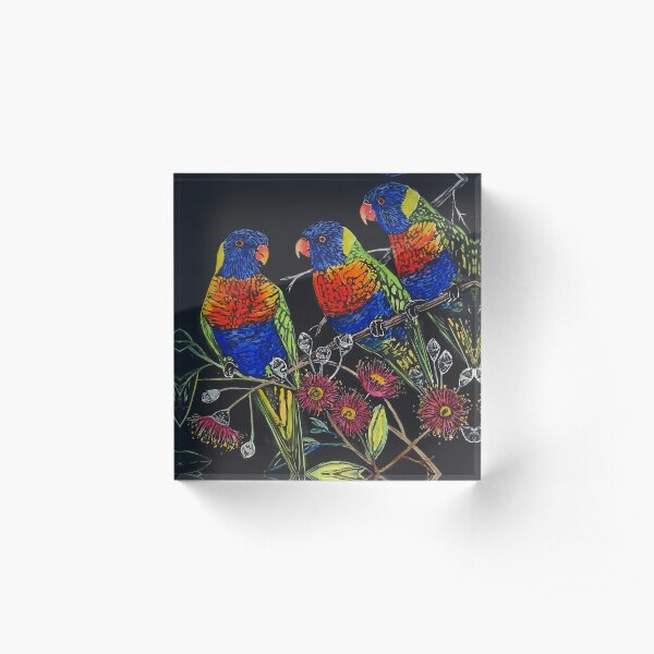 Rainbow Lorikeets Acrylic Block