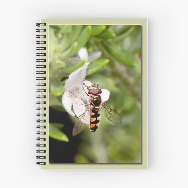 Item preview, hovering around designed and sold by kevin Chippindall.