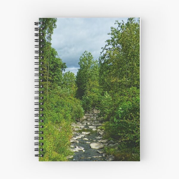 Aperçu de l'œuvre Rocky Stream créée et vendue par Pamela Phelps.
