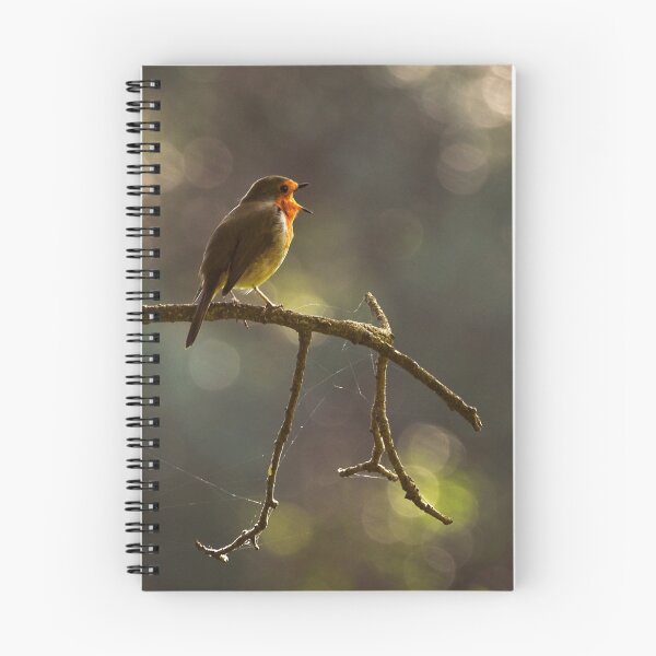 Item preview, Robin designed and sold by Ronald cox.
