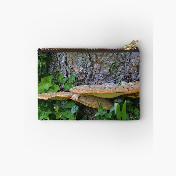 Item preview, My First Fungi ............ designed and sold by lynn carter.