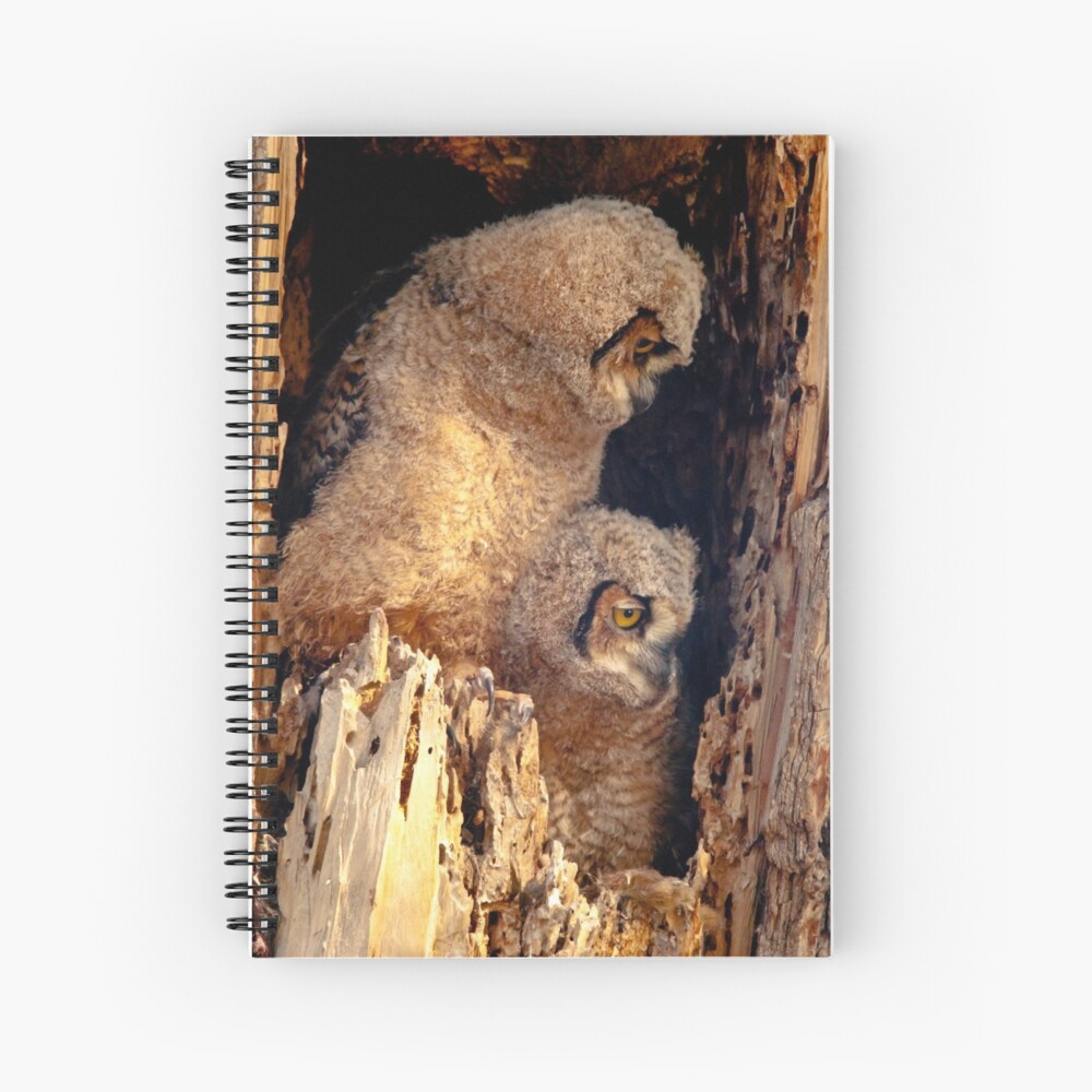 Item preview, Spiral Notebook designed and sold by nikongreg.