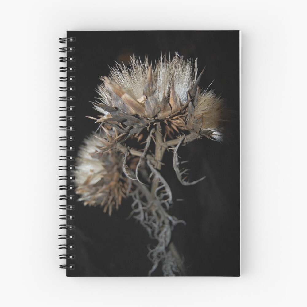 Item preview, Spiral Notebook designed and sold by Rozalia Toth.