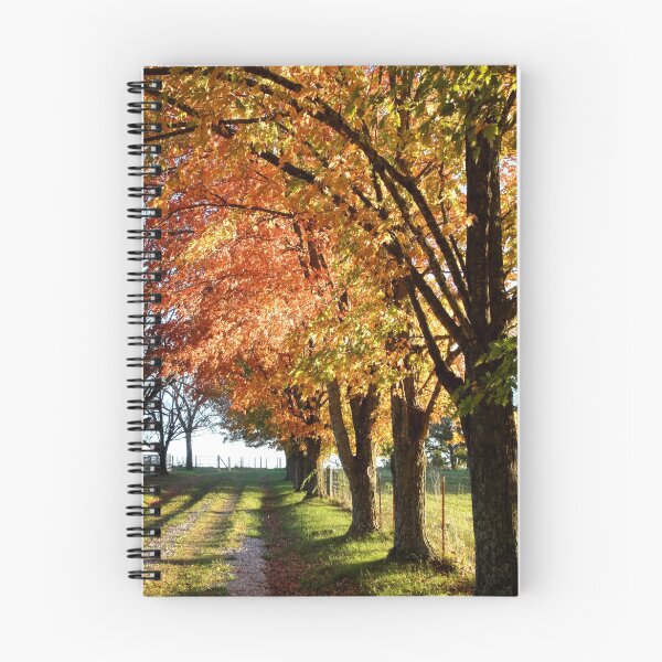 Item preview, Autumn Lane Near Sundown designed and sold by John Carpenter.