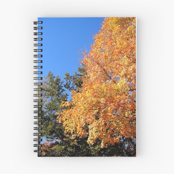 Item preview, Brilliant Fall Colors designed and sold by John Carpenter.