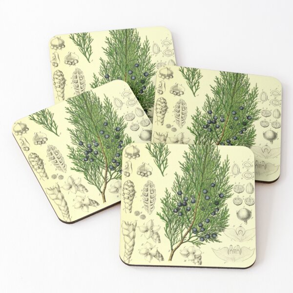 Item preview, Botanical Juniper designed and sold by BlueSpecsStudio.