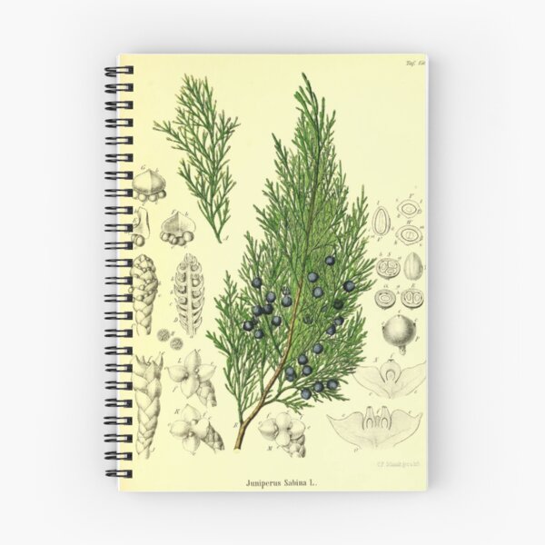 Item preview, Botanical Juniper designed and sold by BlueSpecsStudio.