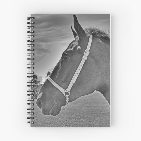 Item preview, Profile Of A Percheron designed and sold by ALBzArt.