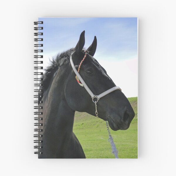 Item preview, Classic Percheron designed and sold by ALBzArt.